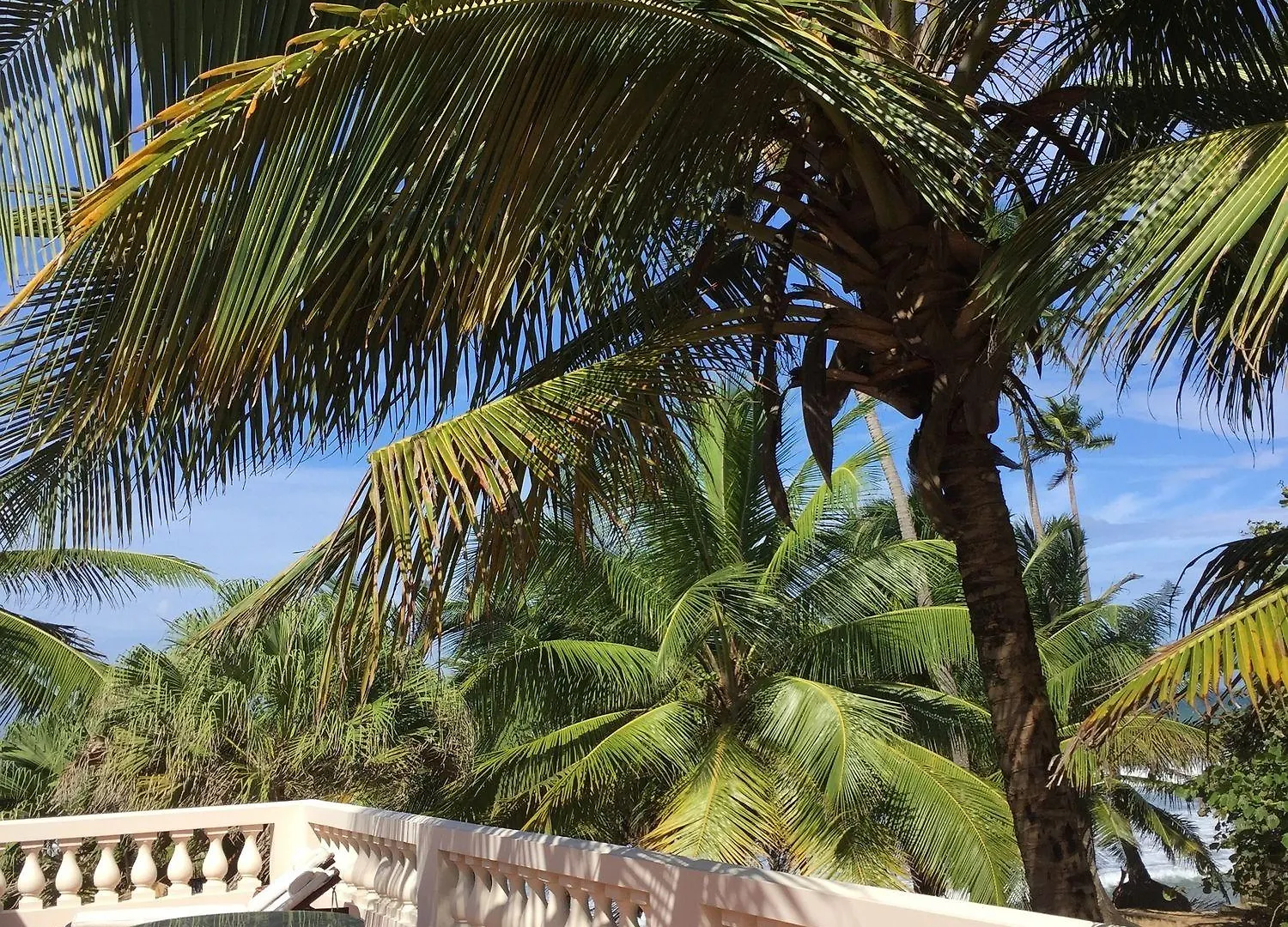 Inn Hotel Casa Isleña Rincón